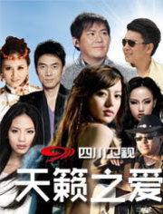 天籁之爱视频,跨越时空的旋律传奇