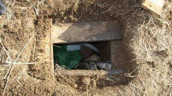 盗古墓视频,揭秘盗墓视频背后的惊心动魄