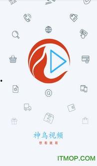 神鸟教学视频,揭秘高效学习之道