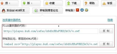 视频转网址,一窥视频内容概览